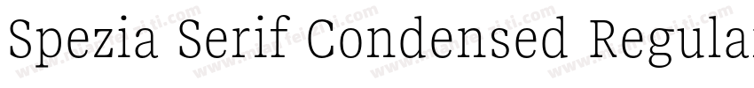 Spezia Serif Condensed Regular D字体转换